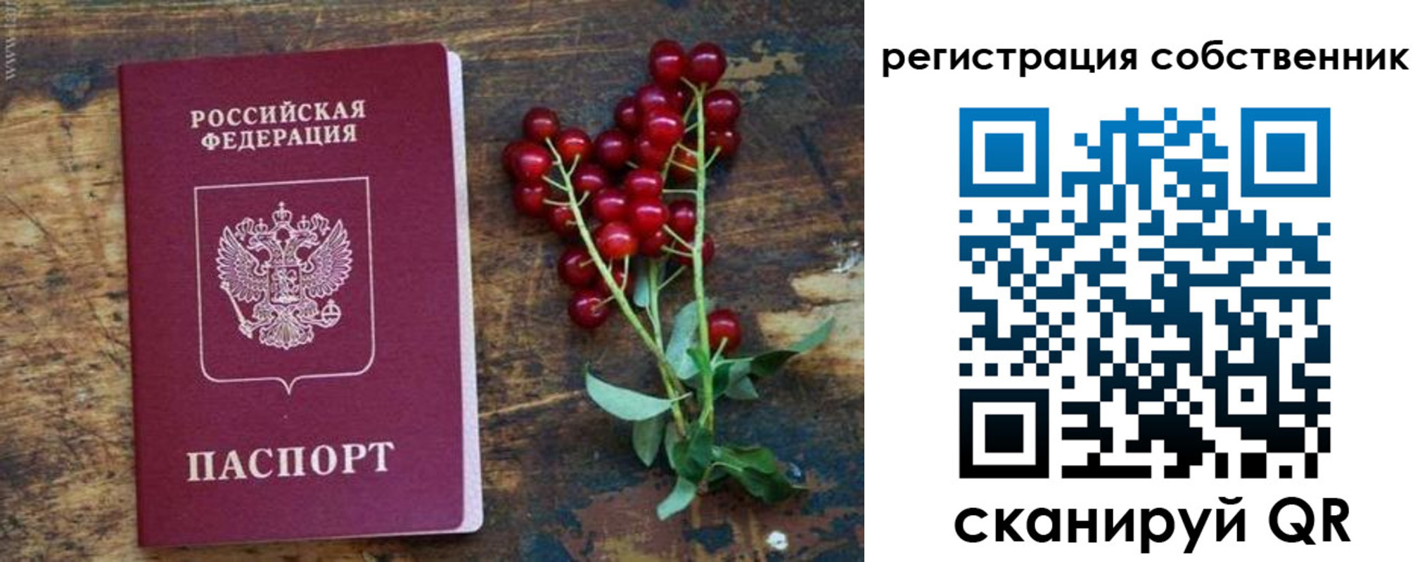 регистрация для дет. сада в Орле